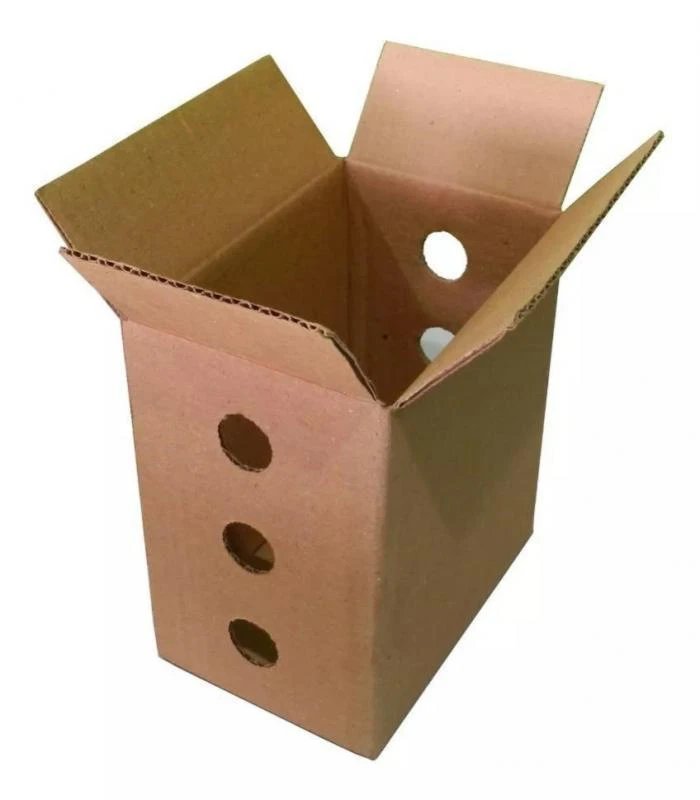 Fabricante de caixa de papelão para picolé